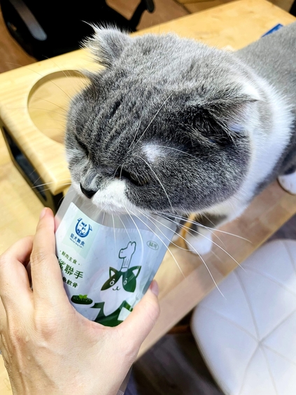鱷鯊聯手
