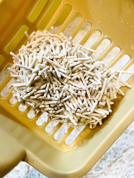 凱舒貓砂