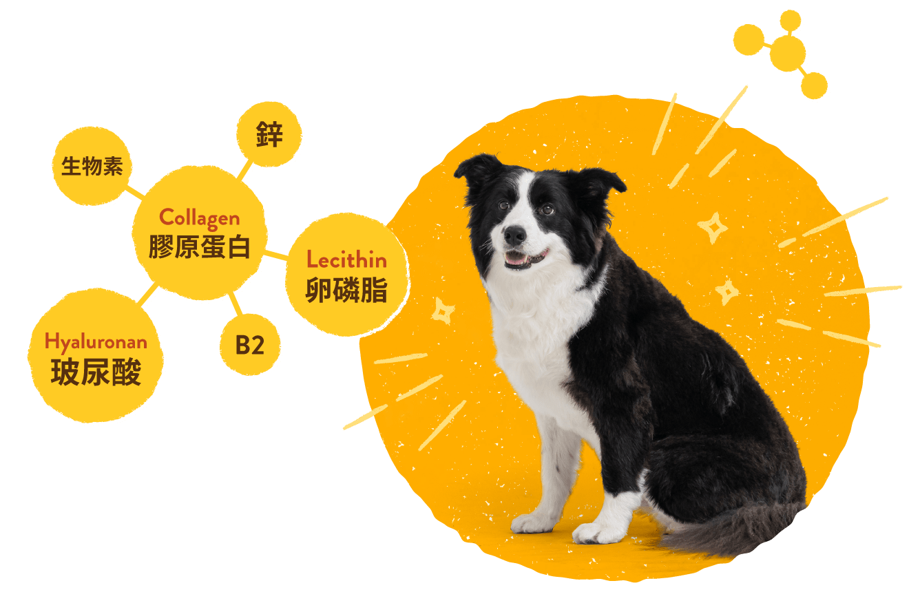 毛起來