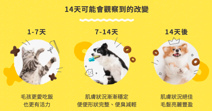 毛起來